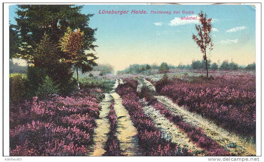 Lüneburger Heide Heideweg Bei Grube Wiechel Heliocolorkarte Ottmar Zieher, München - Lüneburger Heide