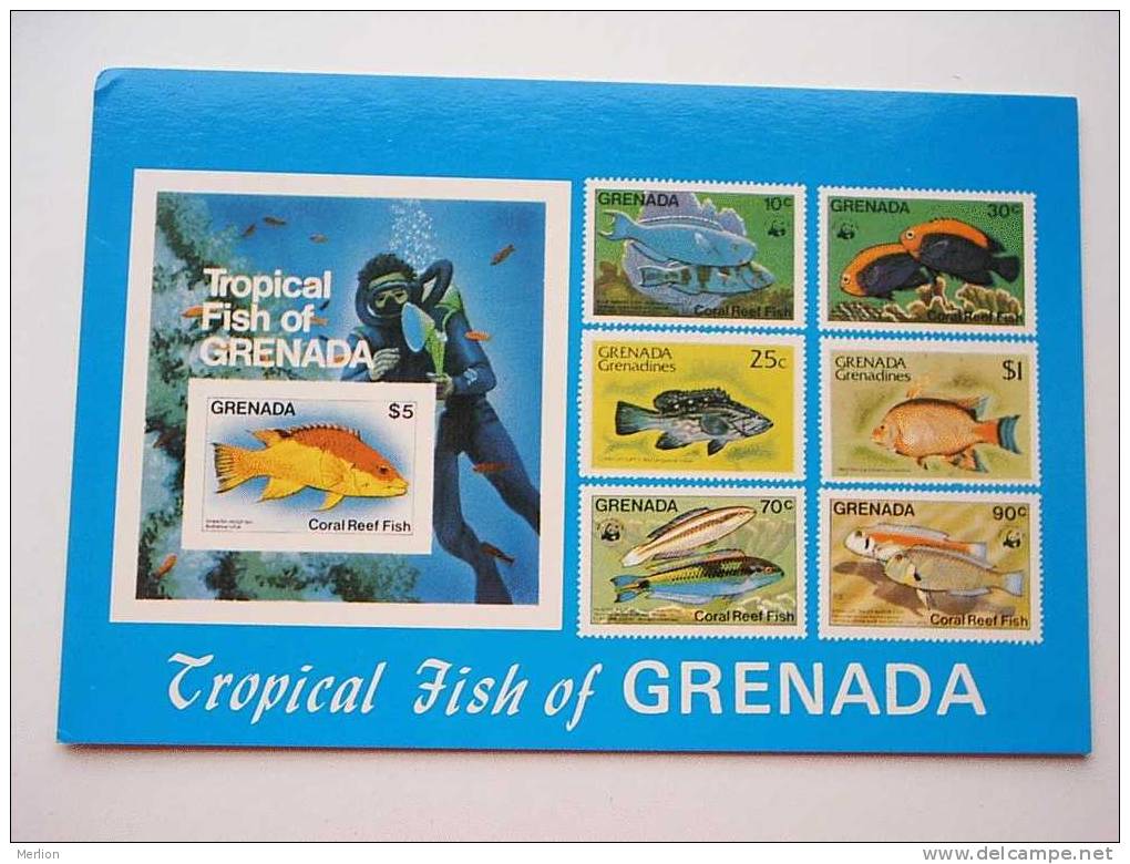 Antilles - Grenada Tropical Fishes On  Stamps- Diver - Diving    CPM  -  VF  D46890 - Grenada