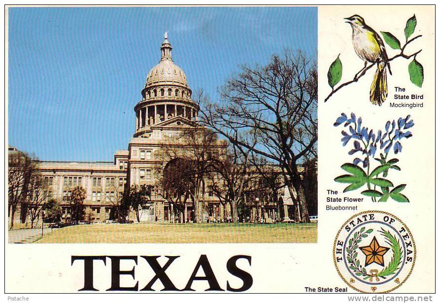 Texas - Oiseau Fleur Emblème - Neuve Unused - Austin