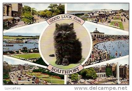 GOOD LUCK FROM SOUTHPORT. - Southport