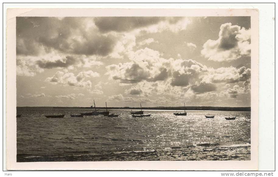 ST WAST - La - HOUGUE - REVILLE - Le Port à Contre-jour (1471) - Saint Vaast La Hougue