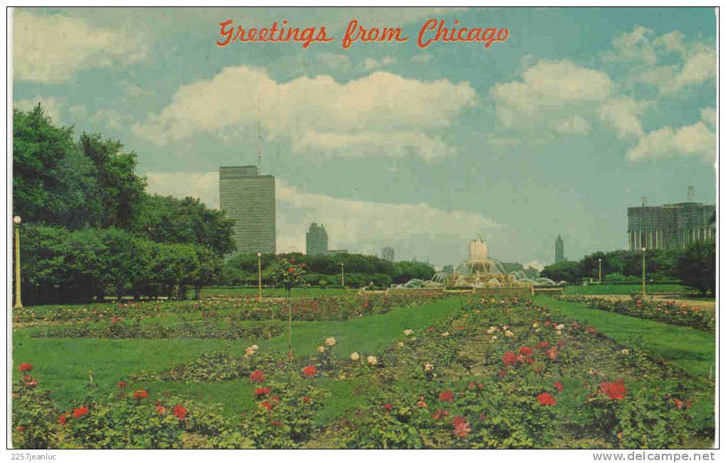 Cp Chicago Illinois Rose Garden  Grant Park Buckingham Memorial Fouhtain - Chicago
