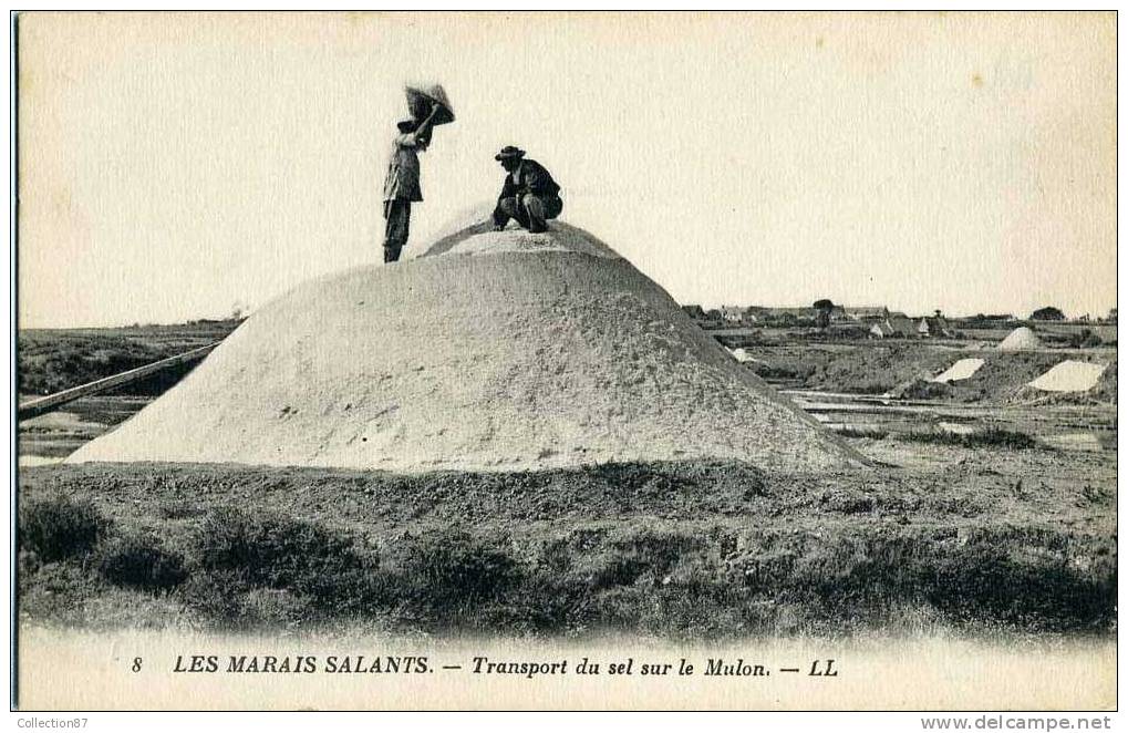 MARAIS SALANTS - TRANSPORT Du SEL Sur Le MULON - Industrie