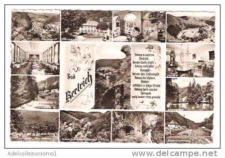 18919)cartolina Illustratoria  Località Di Bad Bertrich - Bad Bertrich