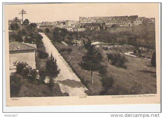 C184- ROMA IL COLOSSEO VISTO DAL PALATINO - F-P- VIAGGIATA 1909 - ITALY ITALIE ITALIEN - Kolosseum