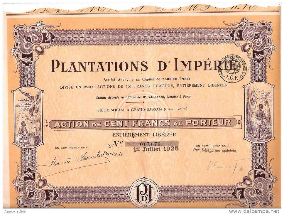 PLANTATION D'IMPERLE - Afrique