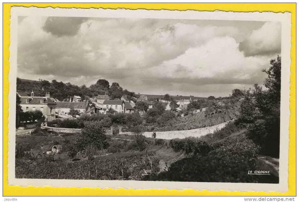 VOUVRAY LES VINS (Indre Et Loire) Vallée De Nouys Carte Photo - Vouvray