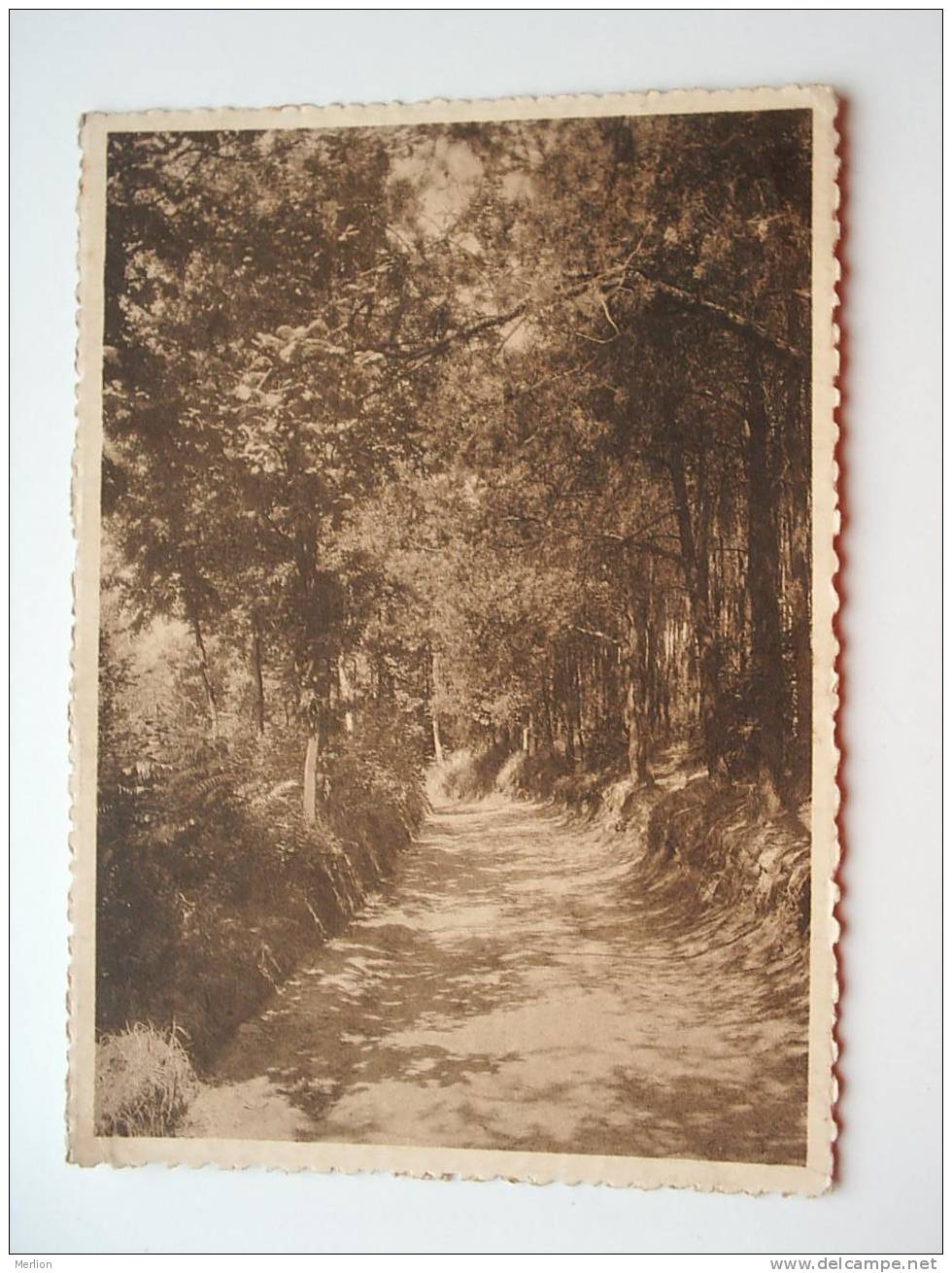 Kluisberg - Torenweg - Mont-de-l'Enclus -Chemin De La Tour    Cca 1930's   VF    D47016 - Kluisbergen