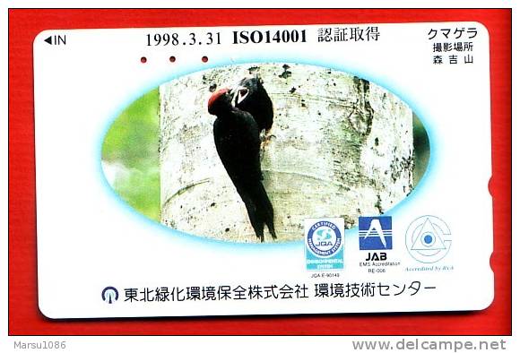 Japan Japon  Telefonkarte Télécarte Phonecard Telefoonkaart - Bird  Vogel  Oiseau - Pájaros Cantores (Passeri)