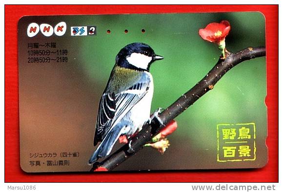 Japan Japon  Telefonkarte Télécarte Phonecard Telefoonkaart - NHK  Bird  Vogel  Oiseau - Pájaros Cantores (Passeri)