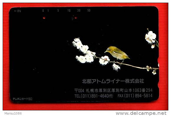 Japan Japon  Telefonkarte Télécarte Phonecard Telefoonkaart - Bird  Vogel  Oiseau - Passereaux