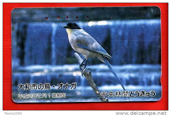 Japan Japon  Telefonkarte Télécarte Phonecard Telefoonkaart - Bird  Vogel  Oiseau - Passereaux