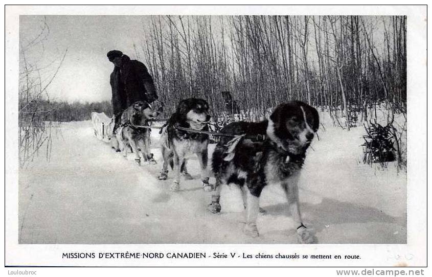 MISSIONS EXTREME NORD CANADIEN  LES CHIENS CHAUSSES SE METTENT EN ROUTE - Missions