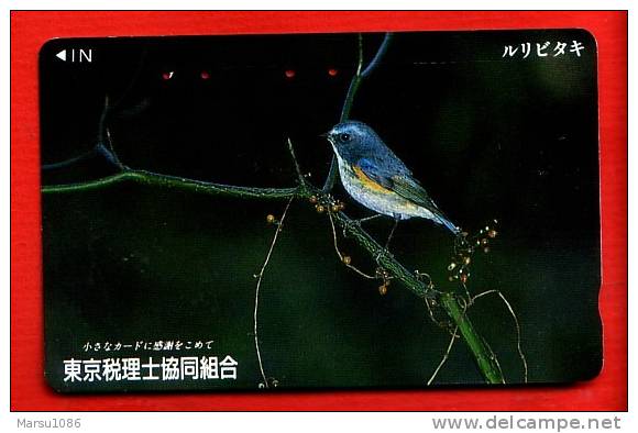 Japan Japon  Telefonkarte Télécarte Phonecard Telefoonkaart - Bird  Vogel  Oiseau - Pájaros Cantores (Passeri)