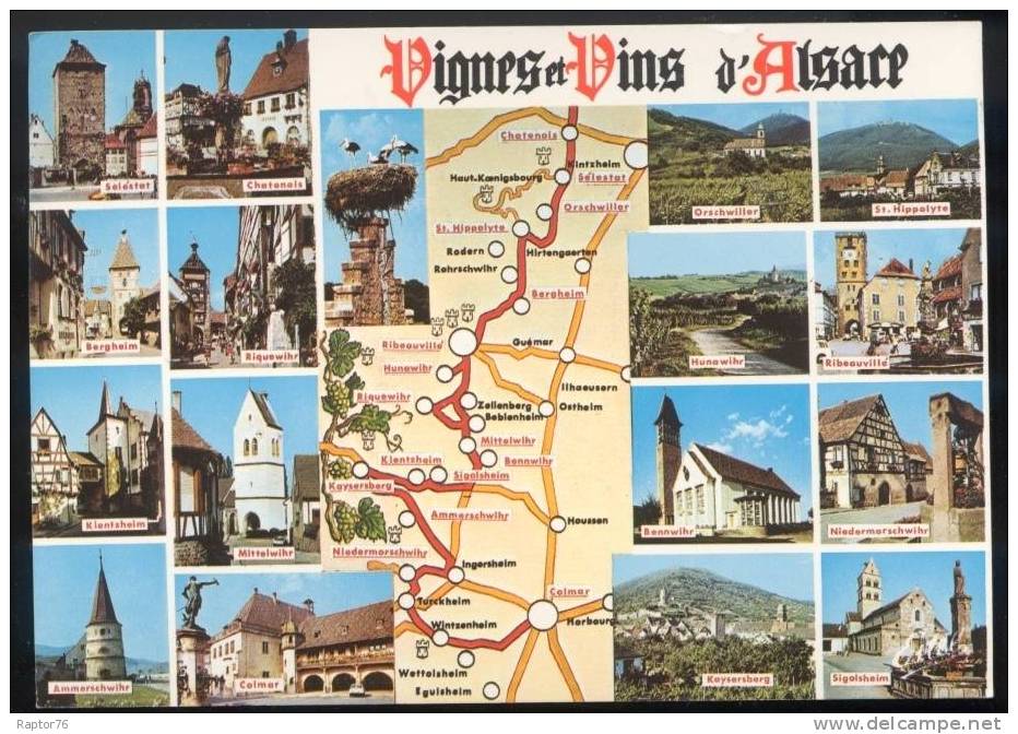 CPM  Alsace Route Des Vins   Multi-vues - Alsace