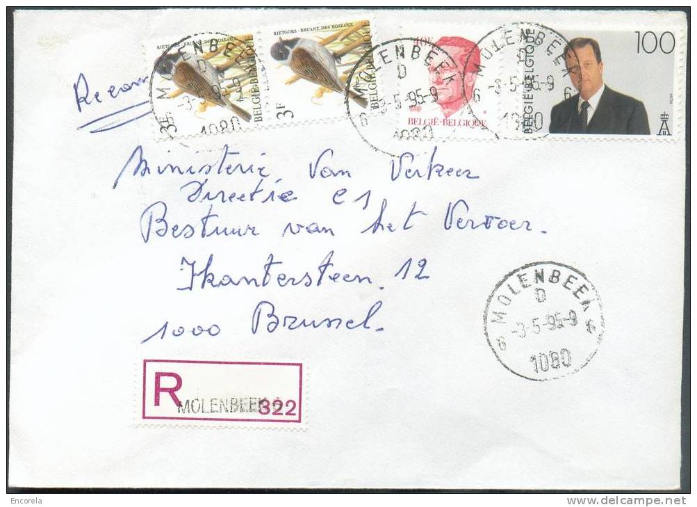 BELGIQUE - Lettre Recommandée Affranchie 2 Timbres OISEAUX/BIRDS BUZIN  + ALBERT II De MOLENBEEK 6 Le 3-5-1995 Vers Brux - Altri & Non Classificati