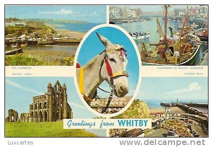 GREETINGS FROM WHITBY. - Whitby