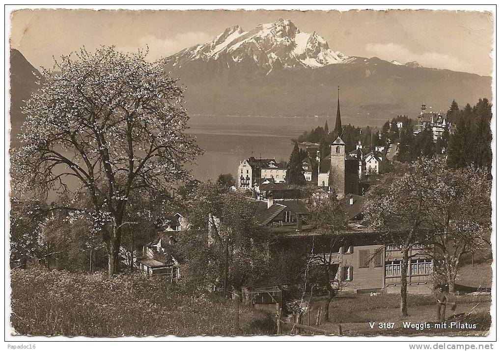 CH - LU - Weggis Mit Pilatus - Photo-Rotation Wilhelm Pleyer N° V 3187 (gelaufen / Circulée) - Weggis