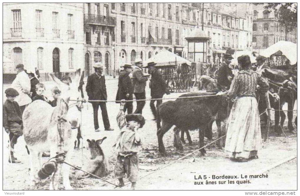 CPA. REPRO. ANIMEE. BORDEAUX. MARCHE AUX ANES SUR LES QUAIS. - Märkte