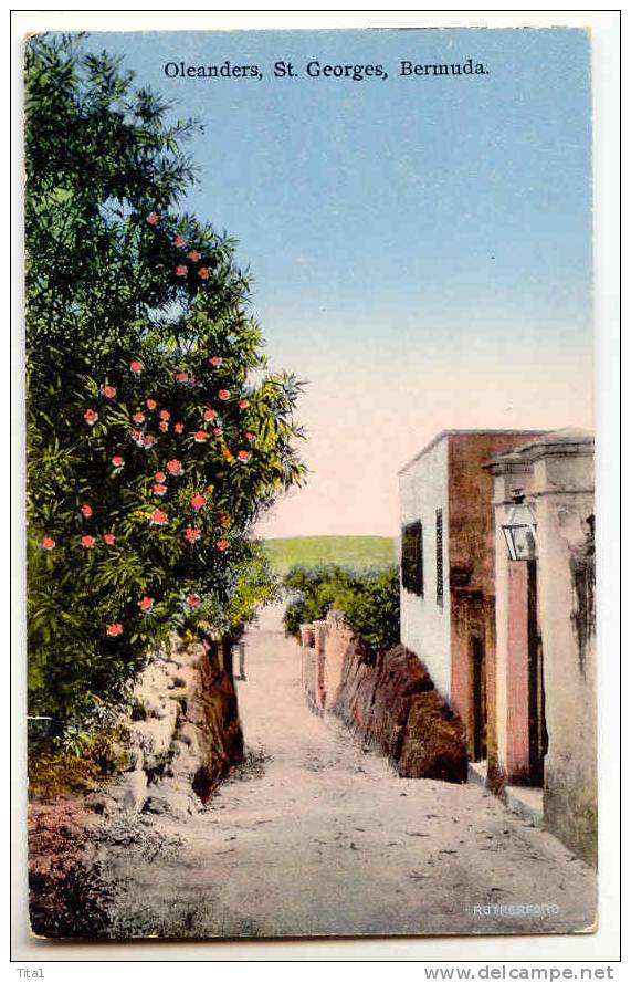 C9449 - Oleanders, St.Georges, Bermuda - Bermuda