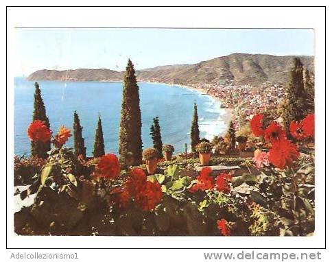 18723)cartolina Illustratoria  Riviera Dei Fiori - Alassio ,  Panorama - Pordenone