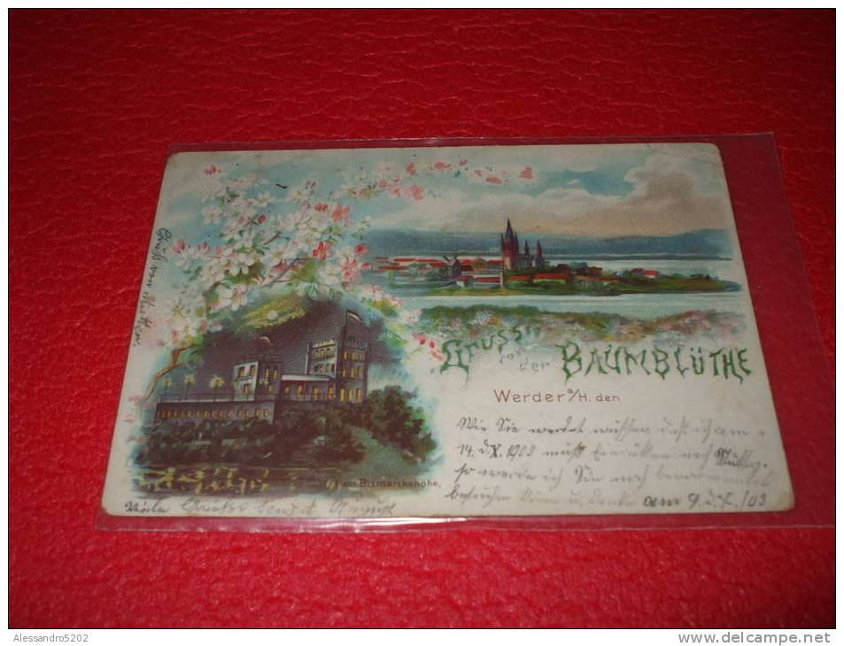 Baden Wurttemberg  Werder A/H Gruss Von Der Baumbluthe 1903 - Trossingen