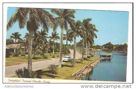 18838)cartolina Illustratoria  Florida - Tropical Delightful - Daytona