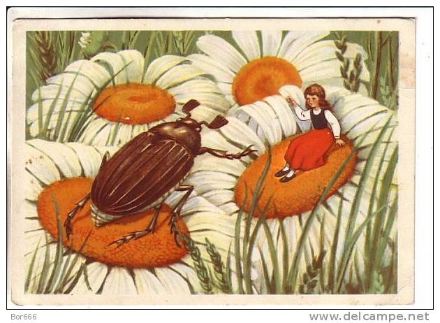 GOOD RUSSIA POSTCARD 1956 - Beetle & Girl - Insects