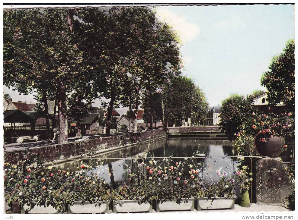 Les Bords Du Guignon - Moulin Engilbert