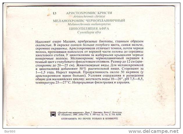 GOOD RUSSIA POSTCARD 1988 - Fishes - Pesci E Crostacei
