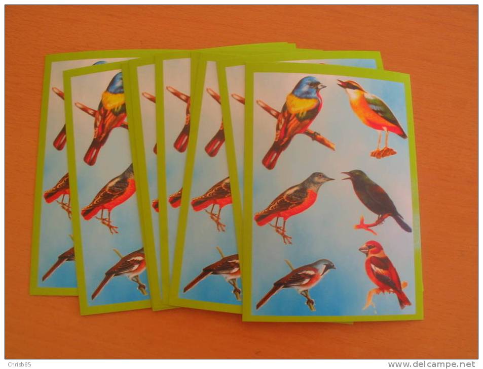 LOT CARTES POSTALES  NEUVES THEME OISEAU RAPACE PAR 10 EXEMPLAIRES IDENTIQUE - Collections, Lots & Séries