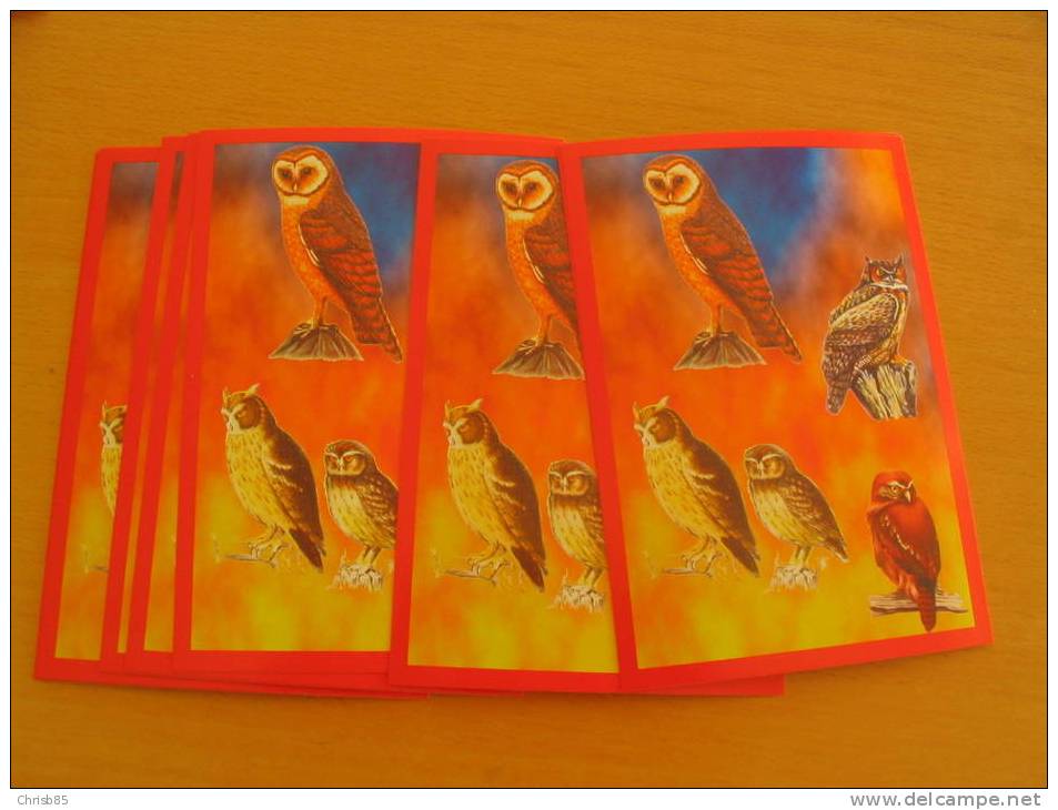 LOT CARTES POSTALES  NEUVES THEME OISEAU RAPACE PAR 10 EXEMPLAIRES IDENTIQUE - Águilas & Aves De Presa