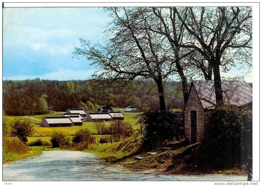 NY (HOTTON) Village De Vacances "L'Espinette" - Hotton