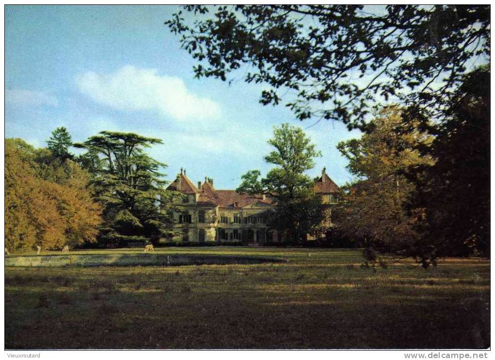 CPSM.  LE CHATEAU DE COPPET.VU DU PARC EN AUTOMNE. - Coppet