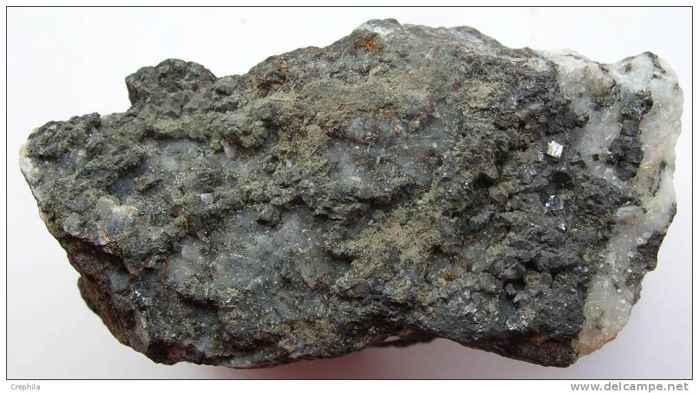 GALENE Sur Quartzite Et Siderite - Silberberg - Eifel - Allemagne  --  T - Minéraux