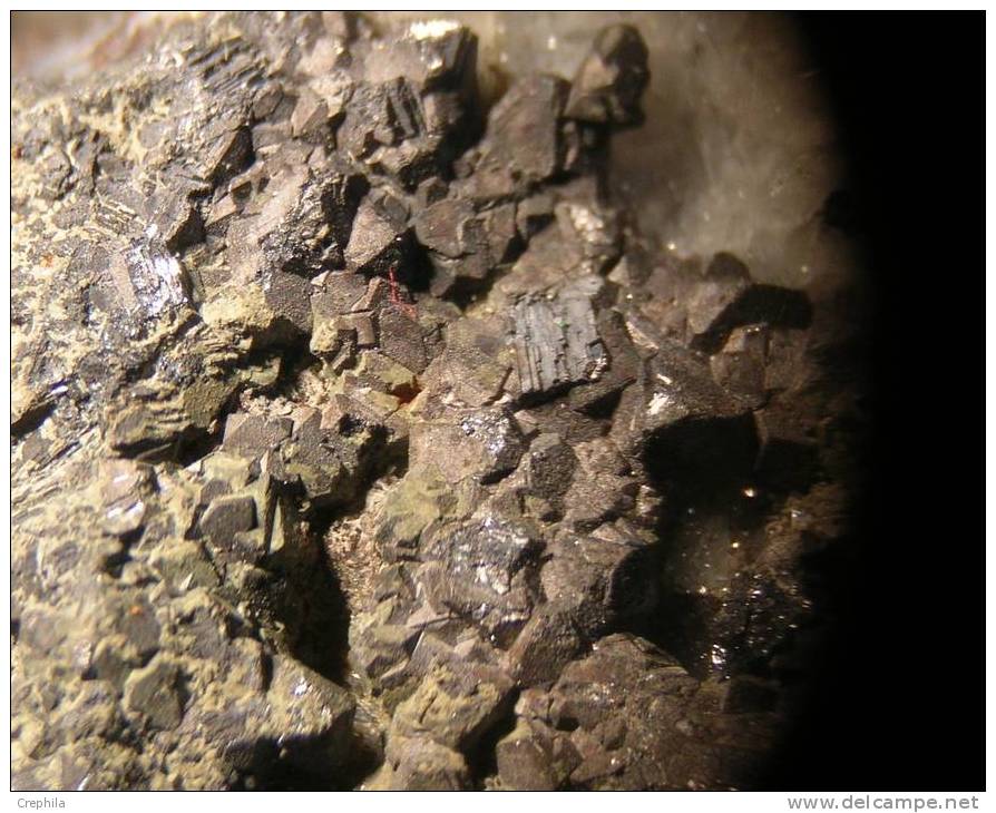 GALENE Sur Quartzite Et Siderite - Silberberg - Eifel - Allemagne  --  T - Minéraux