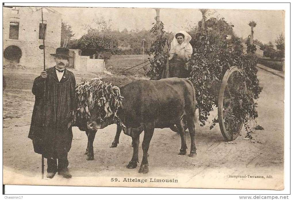 87 - Attelage LImousin - Animée : Aujourd´hui Pas De Labour, C´est La Fête - Cultures