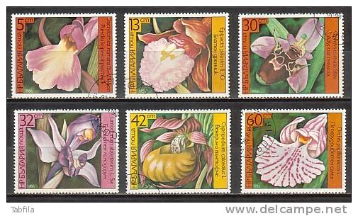 BULGARIA / BULGARIE - 1986 - Orchidees - 6v Obl. - Lapins