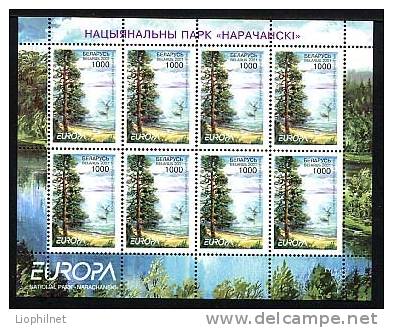 BIELORUSSIE BELARUS 2001, EAU, ARBRES, OISEAUX, 2 Feuillets De 8 Valeurs Identiques, NEUFS. R1692 - 2001