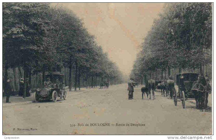 PARIS - Taxi -Soins Au Cheval -Trés Intéréssante-Route De Dauphine-Bois De Boulogne-Paypal Sans Frais - Trasporto Pubblico Stradale