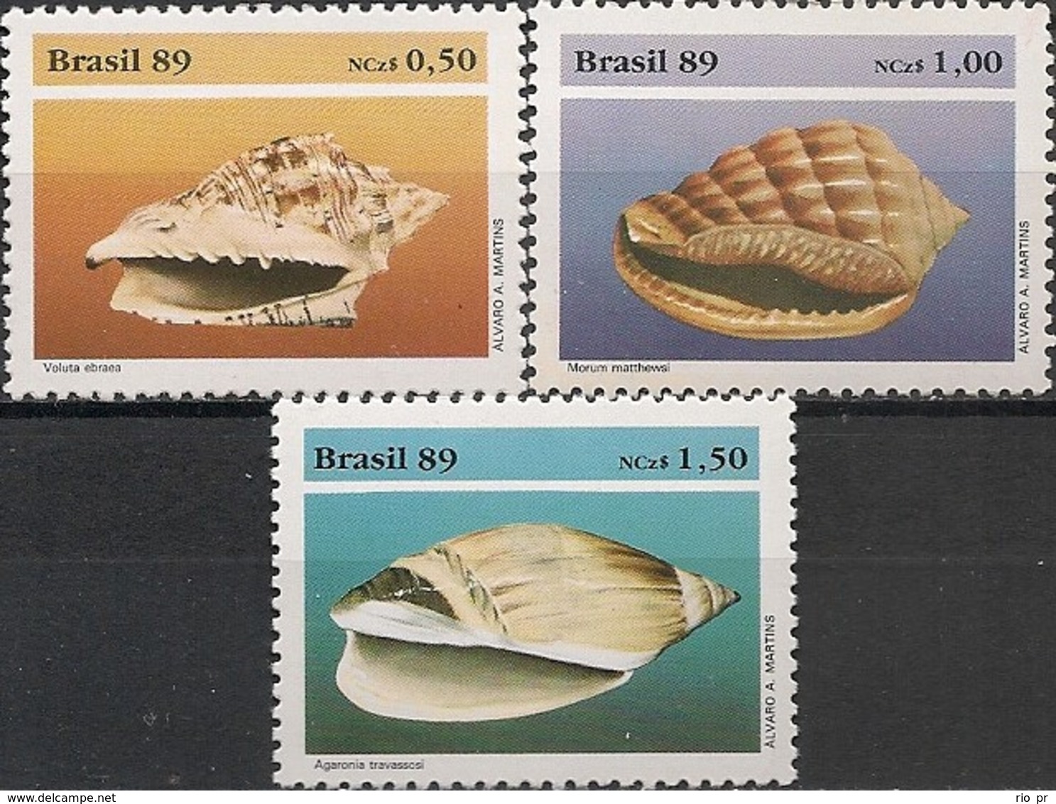 BRAZIL - COMPLETE SET SEA SHELLS 1989 - MNH - Conchas