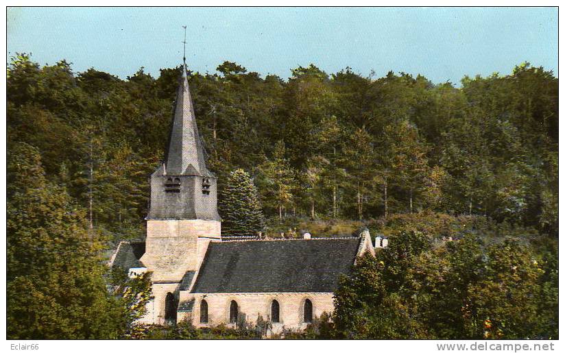 60 NOAILLES (OISE)  L EGLISE Et La Forêt CPSM  Dentellée  Année   1965 - Noailles