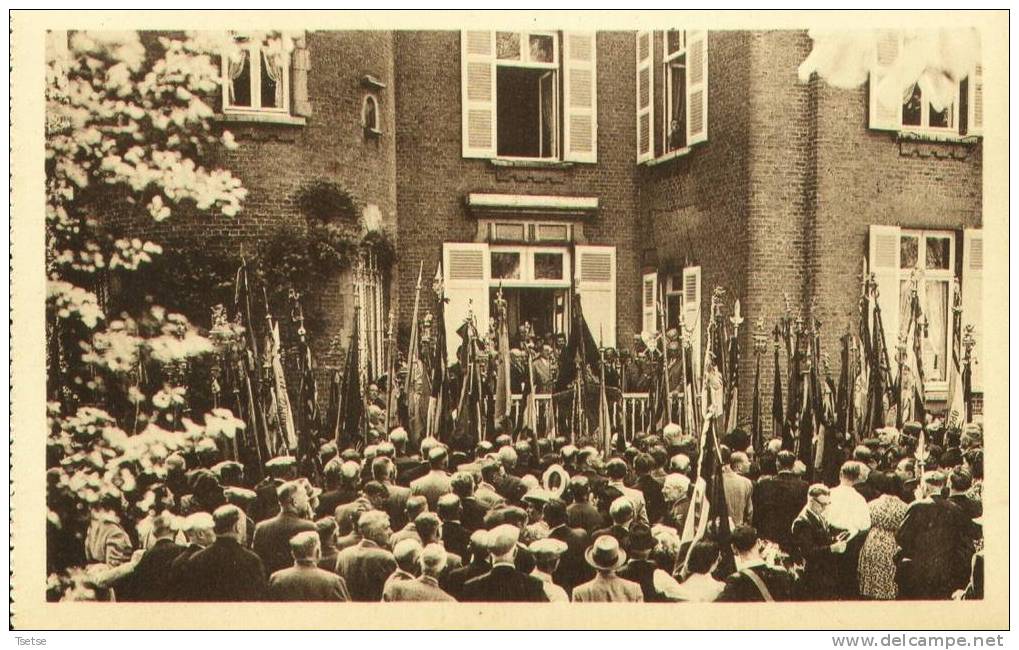 Neffe ( Dinant ) - Inauguration Du Home, Le 9 Juillet 1950 -Délégation Avec Drapeaux Pdt Le Discours Du Président - Dinant