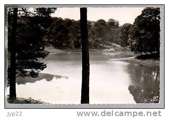 Jolie CP Photo 78 Montfort L'Amaury L'Etang Des Morus - Ed AP N° 539 - CAD 8-08-1952 - Montfort L'Amaury