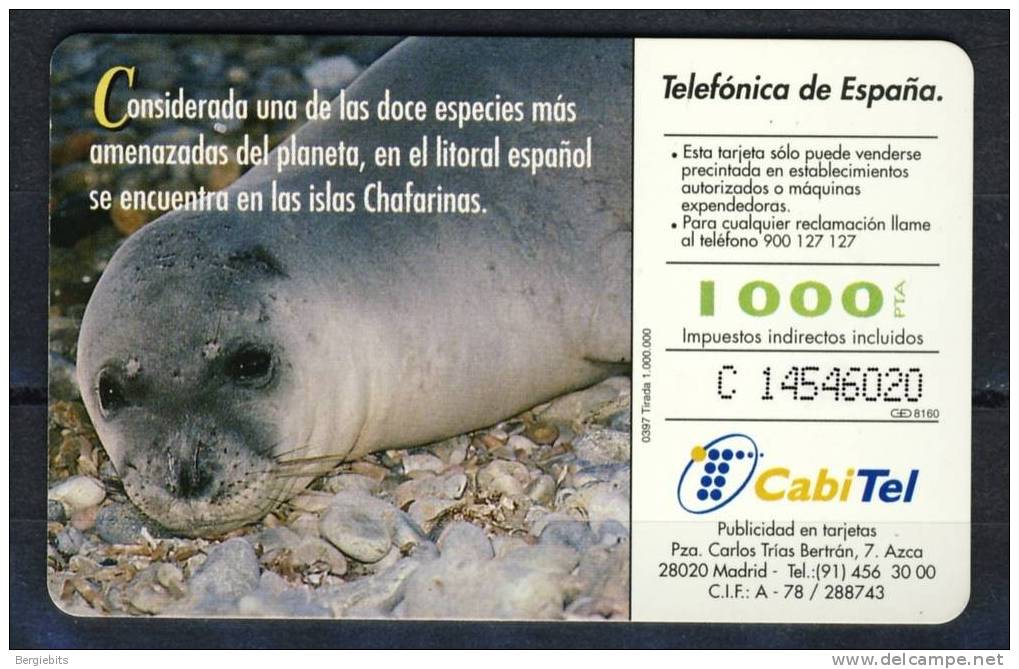 Beautiful Telephone Card From Spain , Used. Fauna Iberica THEME SEALS - Basic Issues
