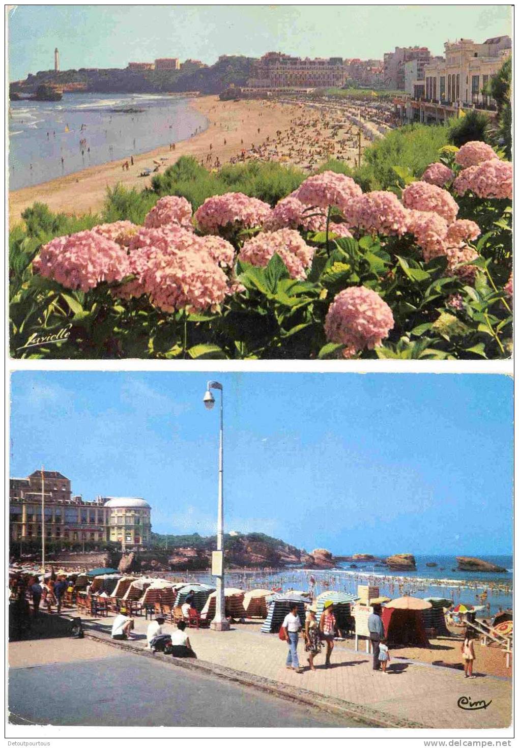 BIARRITZ Pyrénées Atlantiques : Promenade Grande Plage + Hortensias Casino Hotel Du Palais Phare - Biarritz