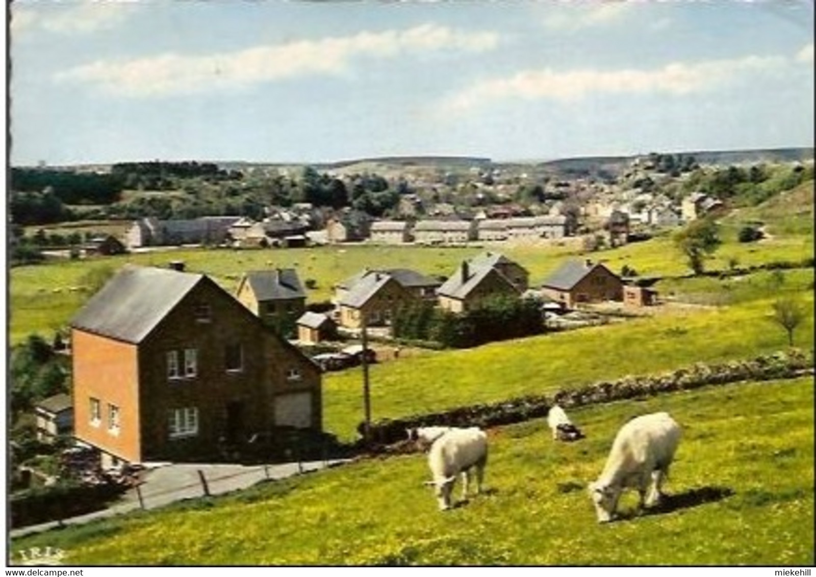 COUVIN PANORAMA DU HERDEAU - Couvin