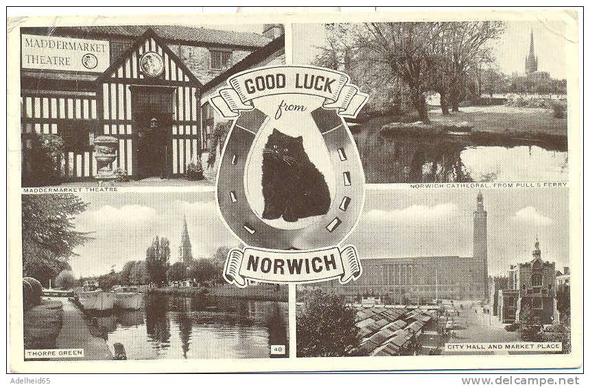 Good Luck From Norwich, Multi-view, Horse Shoe & Black Cat, Maddermarket, Thorpe Green, Market Place, Cathedral 1954 - Norwich