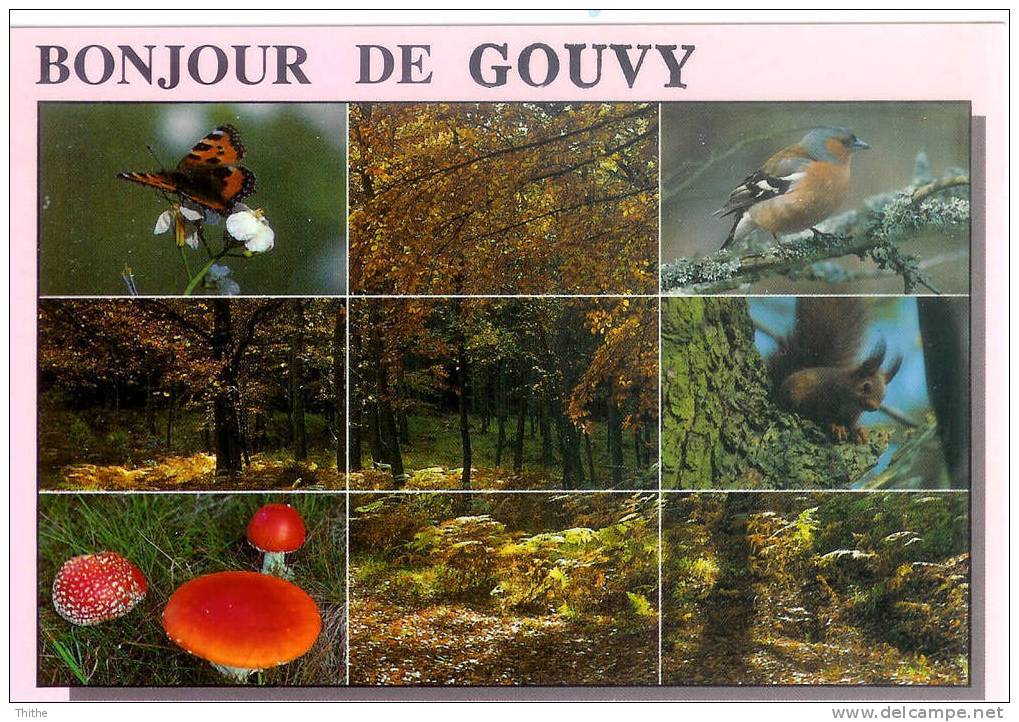 Bonjour De GOUVY - Gouvy
