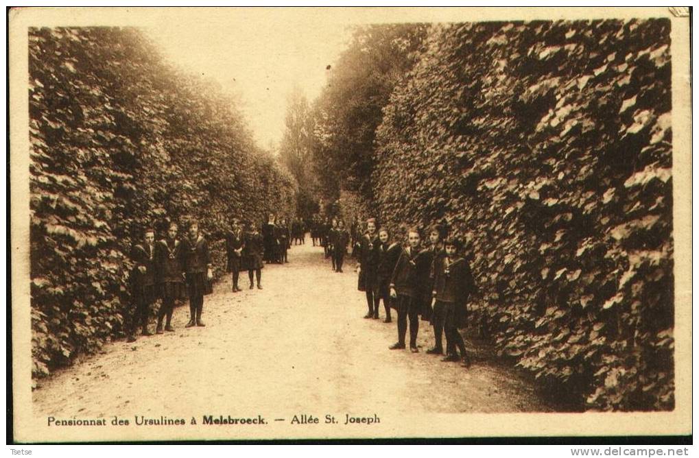 Melsbroeck - Pensionnat Des Ursulines - Allée St Joseph - Steenokkerzeel